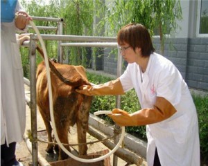 QQ图片20200316094051