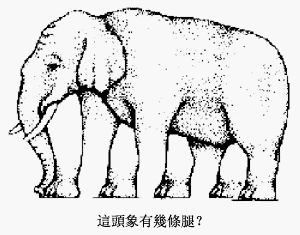 绝对数花你的眼睛！！！