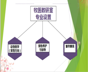 牧医教研室专业设置_副本