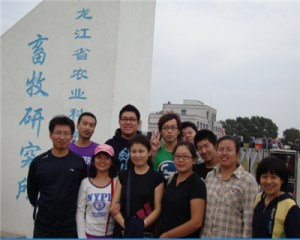 图片10