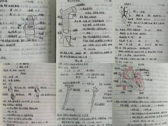 微信图片_20210623150925