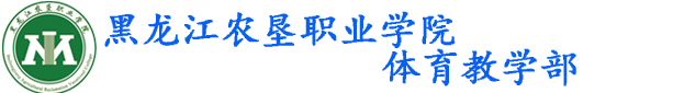 体育教学部